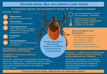 Внимание! Сезон клещей.